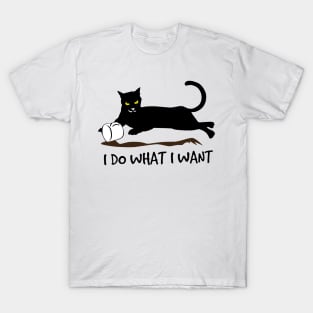 I Do What I Want Black Cat T-Shirt